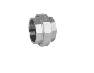 Union inoxydable de tuyau d'acier de 3/4 pouce 316L couplant la norme de norme ANSI de fil de BSP TNP